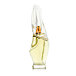 DKNY Donna Karan Cashmere Mist Eau De Parfum 100 ml (woman)