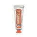 Marvis Ginger Mint Toothpaste 25 ml