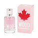 Dsquared2 Wood for Her Eau De Toilette 100 ml (woman)