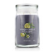 Yankee Candle Duftkerze Praline &amp; Birch 567 g - Black Tea & Lemon