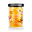 Yankee Candle Signature Tumbler Duftkerze 567 g - Mango Ice Cream