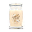 Yankee Candle Duftkerze Praline &amp; Birch 567 g - Soft Wool & Amber