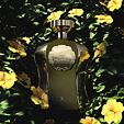 Afnan Highness X Eau De Parfum 100 ml (man)