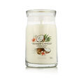 Yankee Candle Duftkerze Praline &amp; Birch 567 g - Coconut Beach