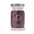 Yankee Candle Duftkerze Praline &amp; Birch 567 g - Wild Orchid