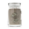 Yankee Candle Duftkerze Praline &amp; Birch 567 g - Warm Cashmere