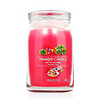 Yankee Candle Duftkerze Praline &amp; Birch 567 g - Art In The Park