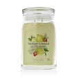 Yankee Candle Duftkerze Praline &amp; Birch 567 g - Iced Berry Lemonade
