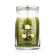 Yankee Candle Duftkerze Praline &amp; Birch 567 g - Sage & Citrus
