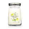 Yankee Candle Duftkerze Praline &amp; Birch 567 g - Midnight Jasmine