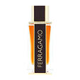 Ferragamo Ferragamo Spicy Leather Eau De Parfum 100 ml (man) - altes Cover