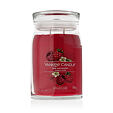 Yankee Candle Duftkerze Praline &amp; Birch 567 g - Red Raspberry