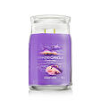 Yankee Candle Duftkerze Praline &amp; Birch 567 g - Stargazing