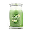 Yankee Candle Duftkerze Praline &amp; Birch 567 g - Vanilla Lime