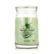 Yankee Candle Duftkerze Praline &amp; Birch 567 g - Cucumber Mint Cooler