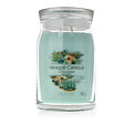 Yankee Candle Duftkerze Praline &amp; Birch 567 g - Aloe & Agave