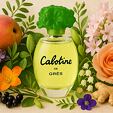 Grès Cabotine de Gres Eau De Toilette 100 ml (woman) - altes Cover