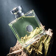 Versace Versense Eau De Toilette 100 ml (woman)